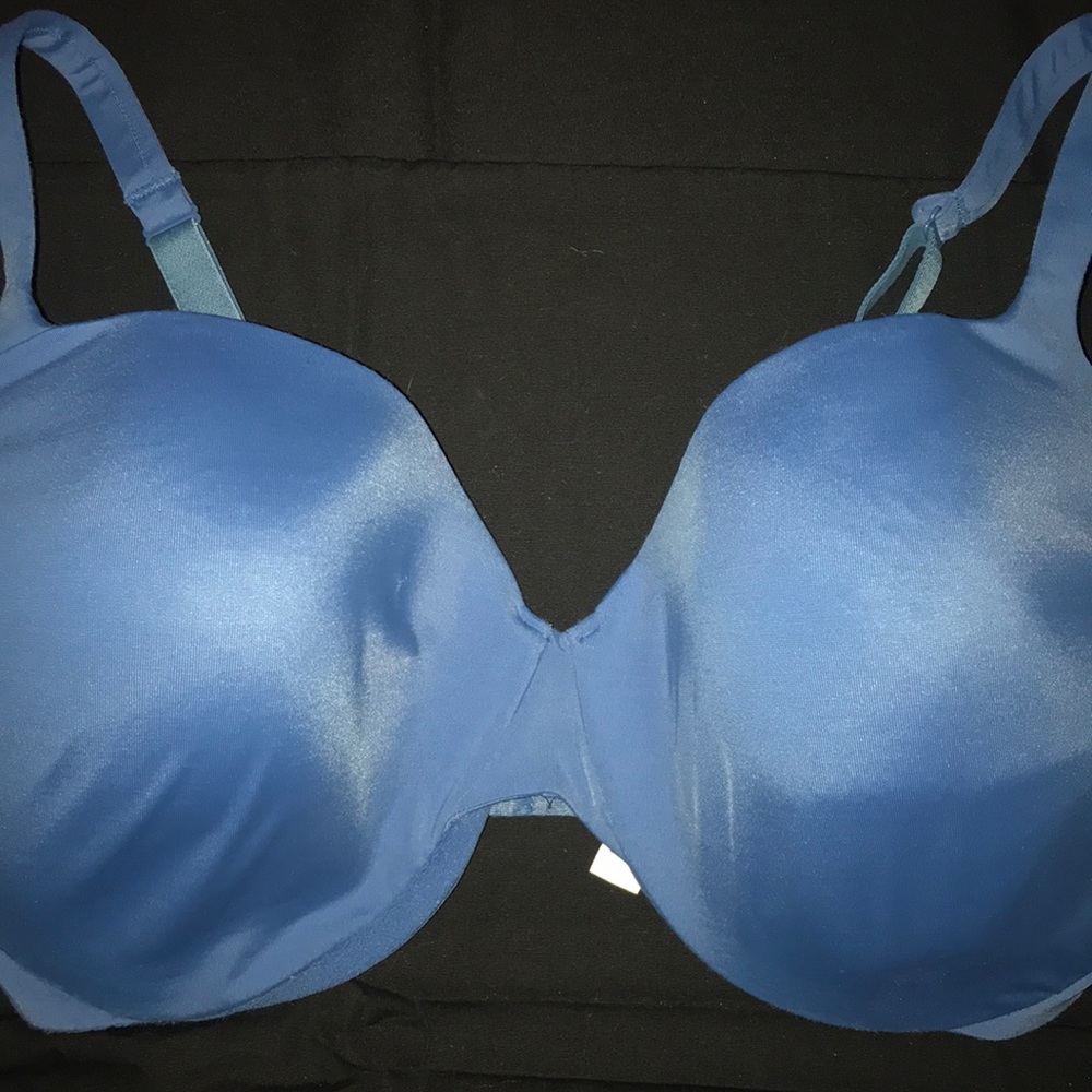 Body by Victoria Blue Bra 38DD